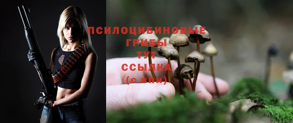 круглые Осташков