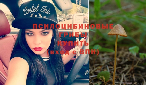 круглые Осташков