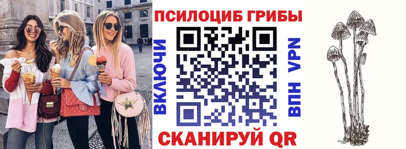 наркотики  Болхов  Псилоцибиновые грибы MAGIC MUSHROOMS 