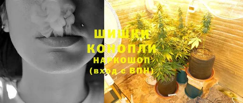 Бошки марихуана Ganja  продажа наркотиков  ОМГ ОМГ ссылка  Болхов 